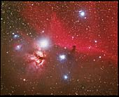 Optical image of the Horsehead Nebula