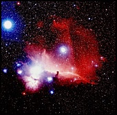 The Horsehead nebula