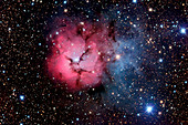 Trifid nebula (M20)