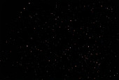Starry sky: Cepheus region including the Pole Star