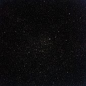 Stars in Perseus