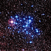 The Butterfly star cluster M6