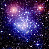 Star cluster