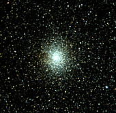 Globular cluster M19