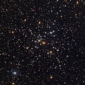 Star cluster M41