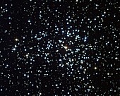 Open star cluster M37