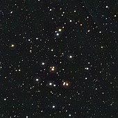 Beehive open star cluster