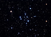 Open star cluster M34