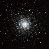 Globular cluster M53