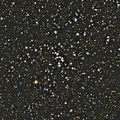 Open star cluster M48