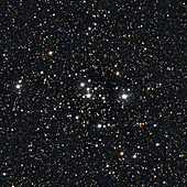 Open star cluster M47