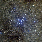 Open star cluster M7