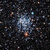 Open star cluster NGC 265