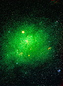 Optical photo of the star Capella