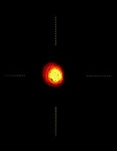 False-colour computerised image of Betelgeuse star