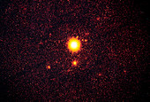 ROSAT image of AR Lac,Lacerta constellation