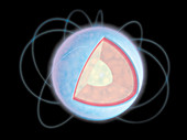 Cutaway neutron star