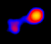 Mira double star,Chandra X-ray image