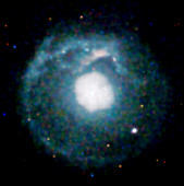 Supernova remnant G215-0.9,Chandra image
