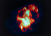 False-colour radio map of the Crab Nebula