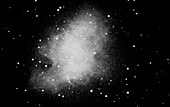 Near infrared photograph of the Crab Nebula