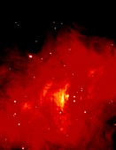 HST image of the centre of the Crab Nebula