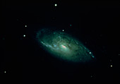 Optical image of spiral galaxy M106