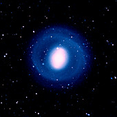 Galaxy NGC 1291