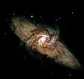 Overlapping galaxies NGC 3314