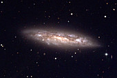 Spiral galaxy M108
