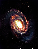 Spiral galaxy NGC 5364