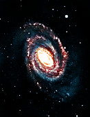 Spiral galaxy NGC 5364
