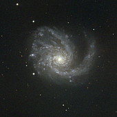 M99 spiral galaxy