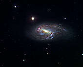 Spiral galaxy M66