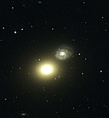Elliptical galaxy M60
