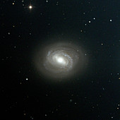 Barred spiral galaxy M58
