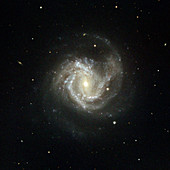 Spiral galaxy M61