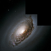 Black Eye galaxy (M64)