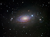 Sunflower galaxy (M63)