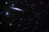 Barred spiral galaxy (NGC 3079)