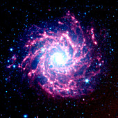 Spiral galaxy M74,SST infrared image