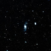 Gossamer galaxy (NGC 3718),optical image