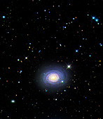 Spiral galaxy NGC 488