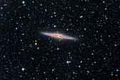 Spiral galaxy NGC 891