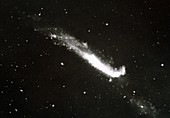 Optical photo of peculiar galaxy NGC 4656/57
