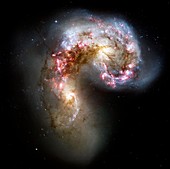 Antennae galaxies,HST image