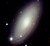 Optical CCD image of the spiral galaxy NGC 2841