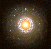 Seyfert galaxy NGC 7742