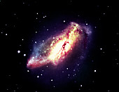 Radio galaxy NGC 2146