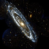 Andromeda Galaxy,UV image